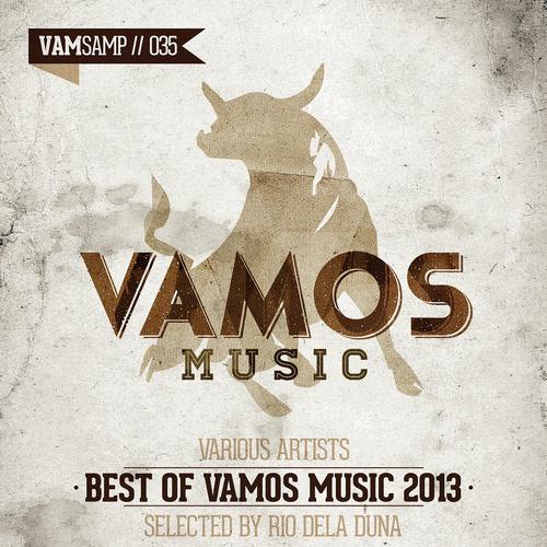Постер альбома Best of Vamos Music 2013 - Selected by Rio Dela Duna