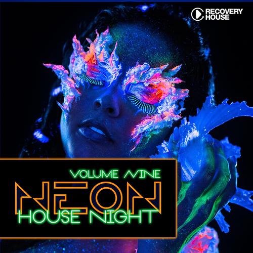 Постер альбома Neon House Night, Vol. 9