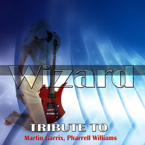 Постер альбома Wizard: Tribute to Martin Garrix, Pharrell Williams