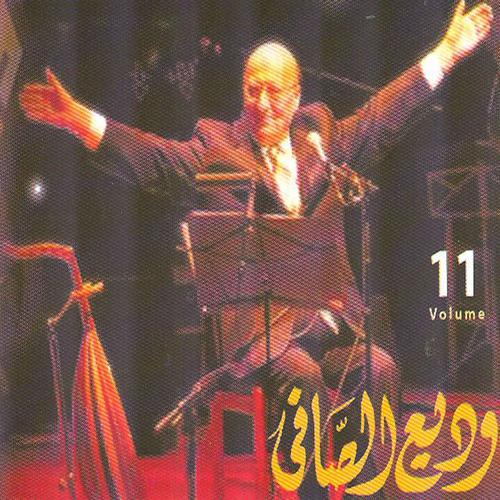 Постер альбома Wadi El Safi, Vol. 11 (Live)