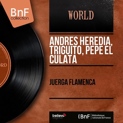 Постер альбома Juerga Flamenca (Mono Version)