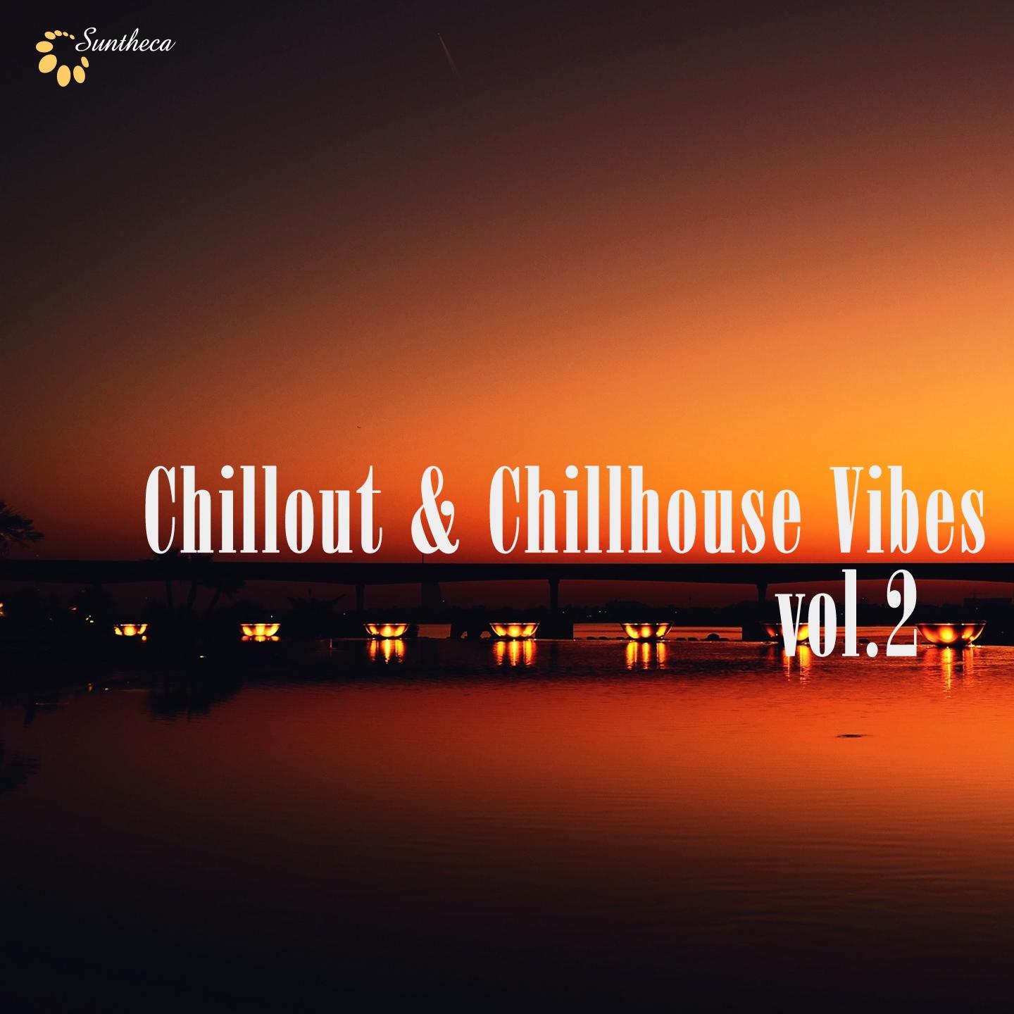 Постер альбома Chillout & Chillhouse Vibes, Vol. 2