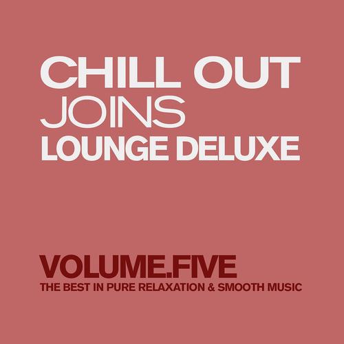Постер альбома Chill Out Joins Lounge Deluxe, Vol. 5