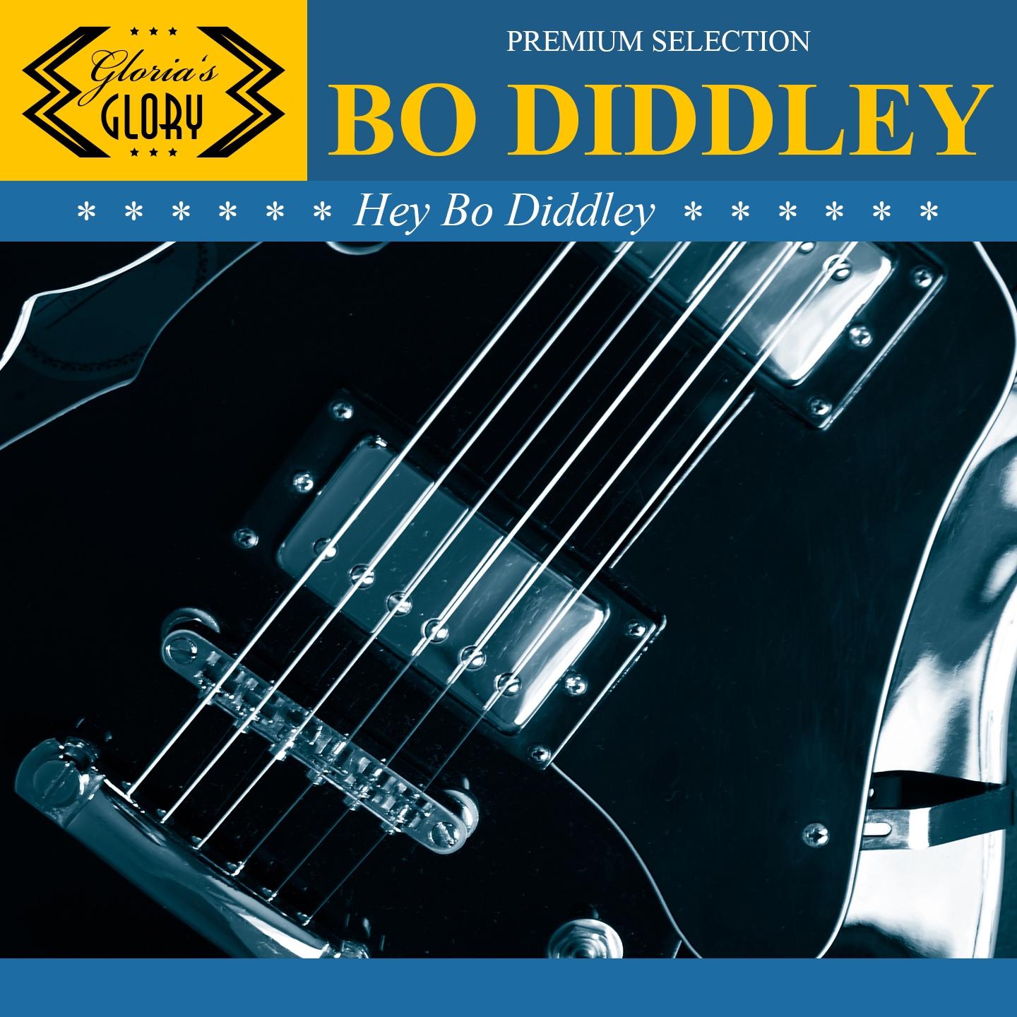 Постер альбома Hey Bo Diddley