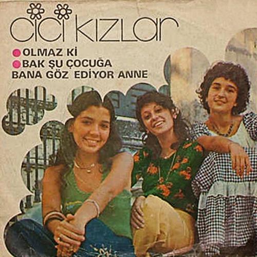 Постер альбома Olmaz Ki