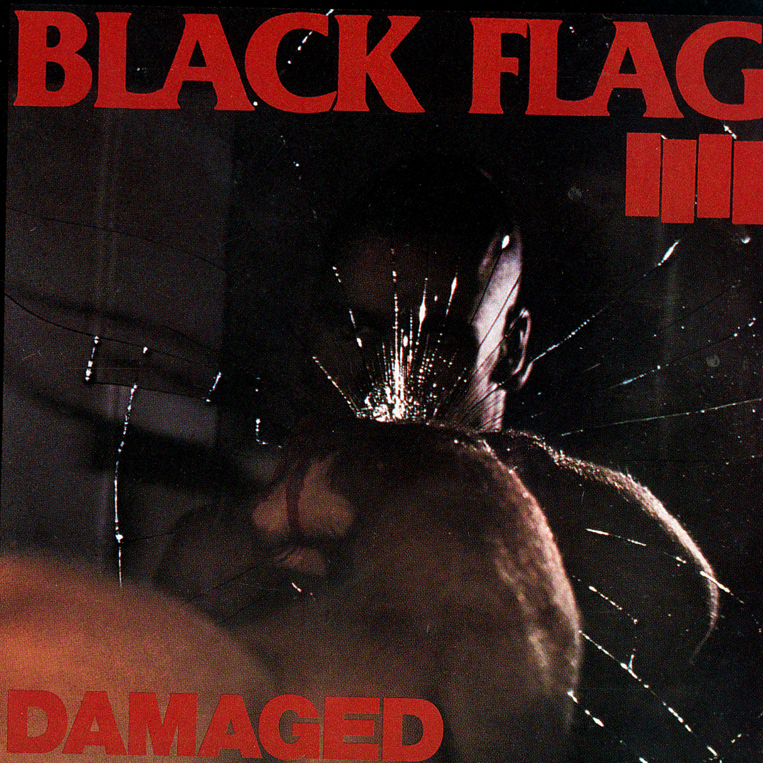 Black Flag - Police Story