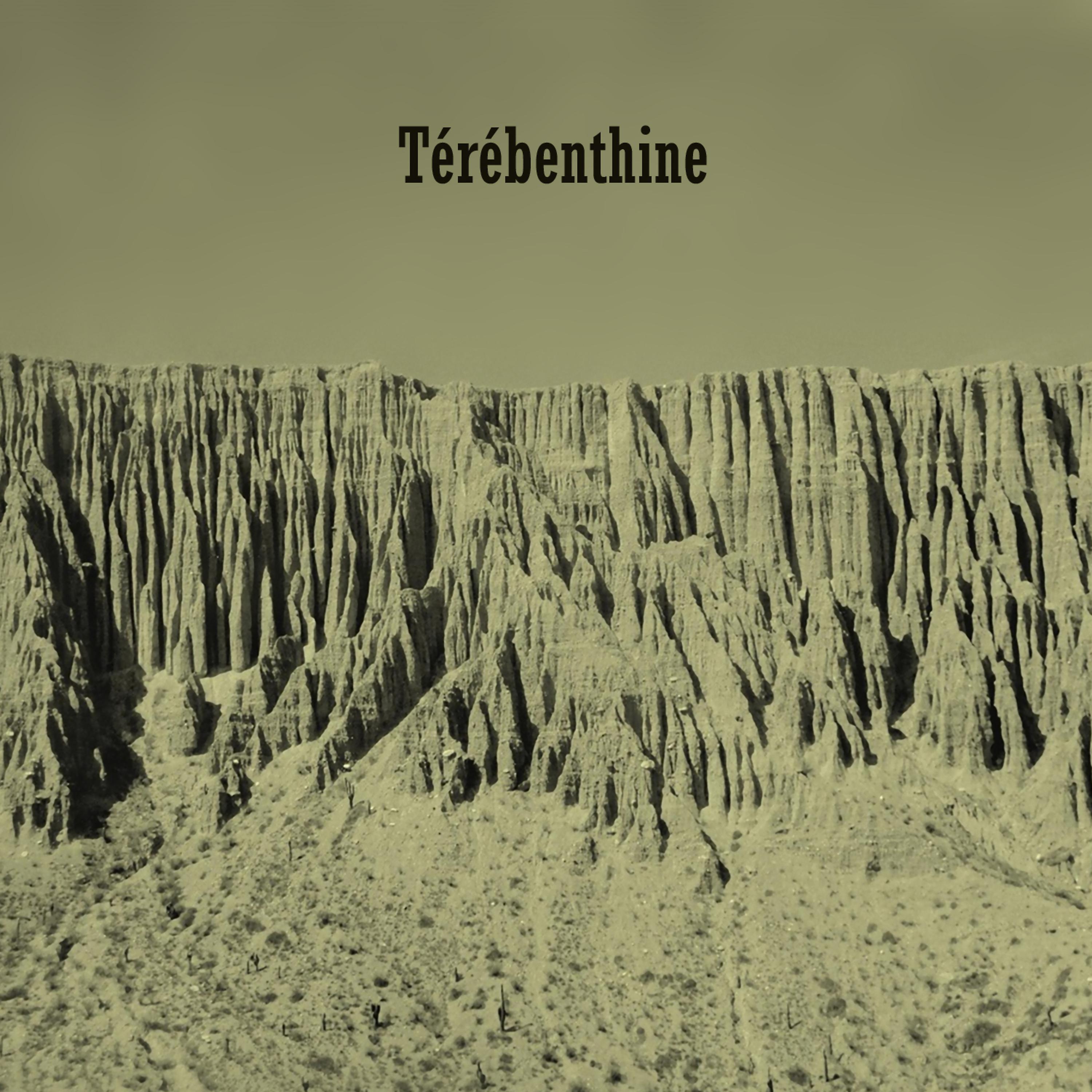 Постер альбома Terebenthine