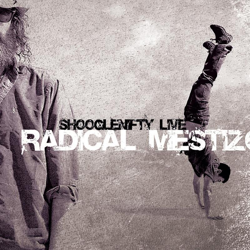 Постер альбома Radical Mestizo