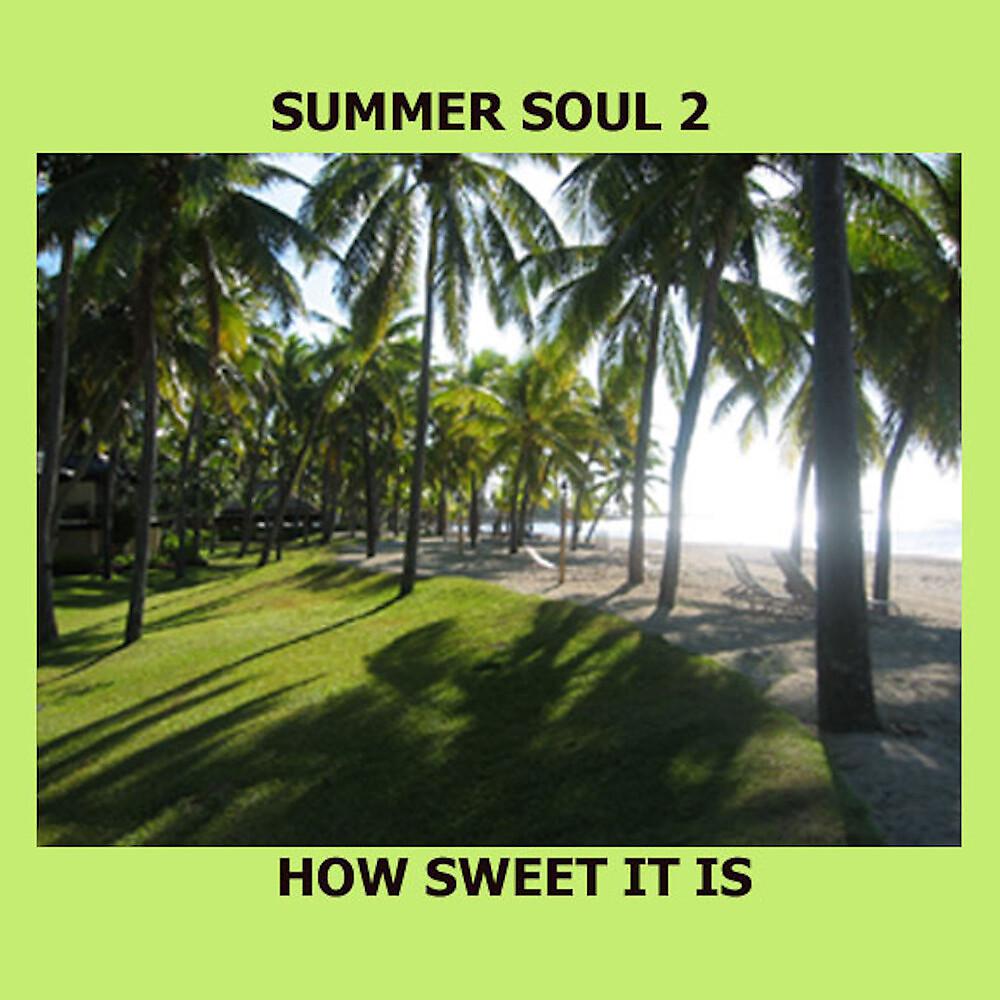 Постер альбома Summer Soul 2 - How Sweet It Is