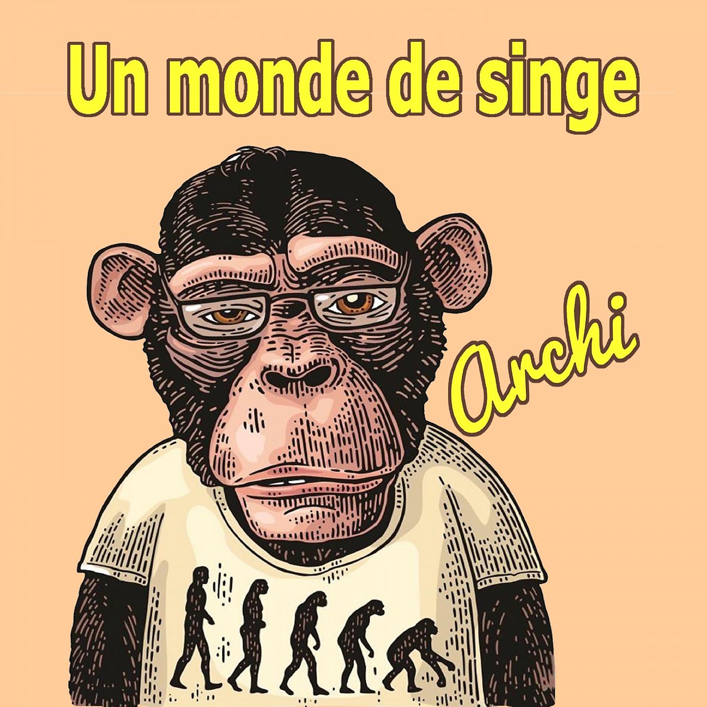 Постер альбома Un monde de singe