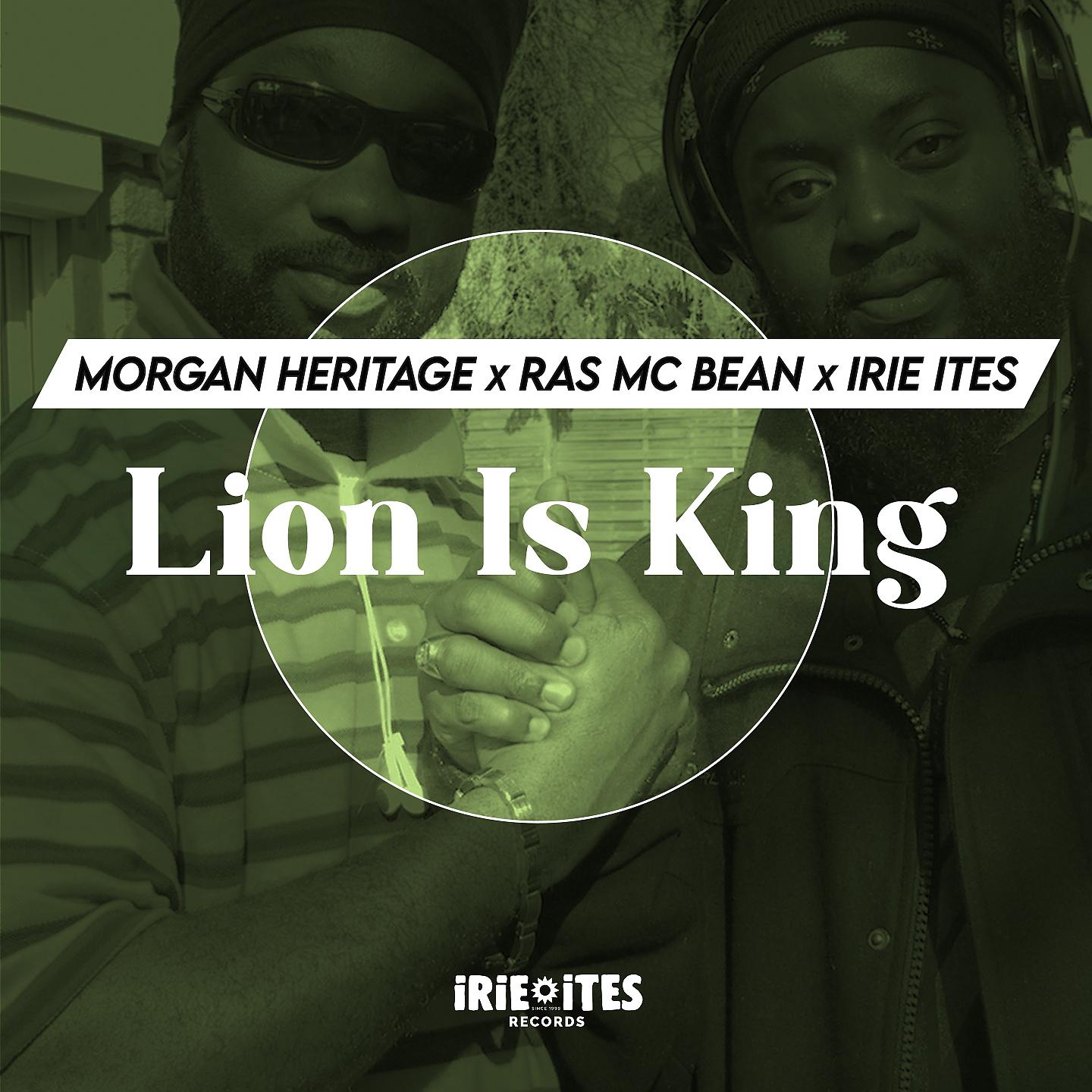 Постер альбома Lion Is King