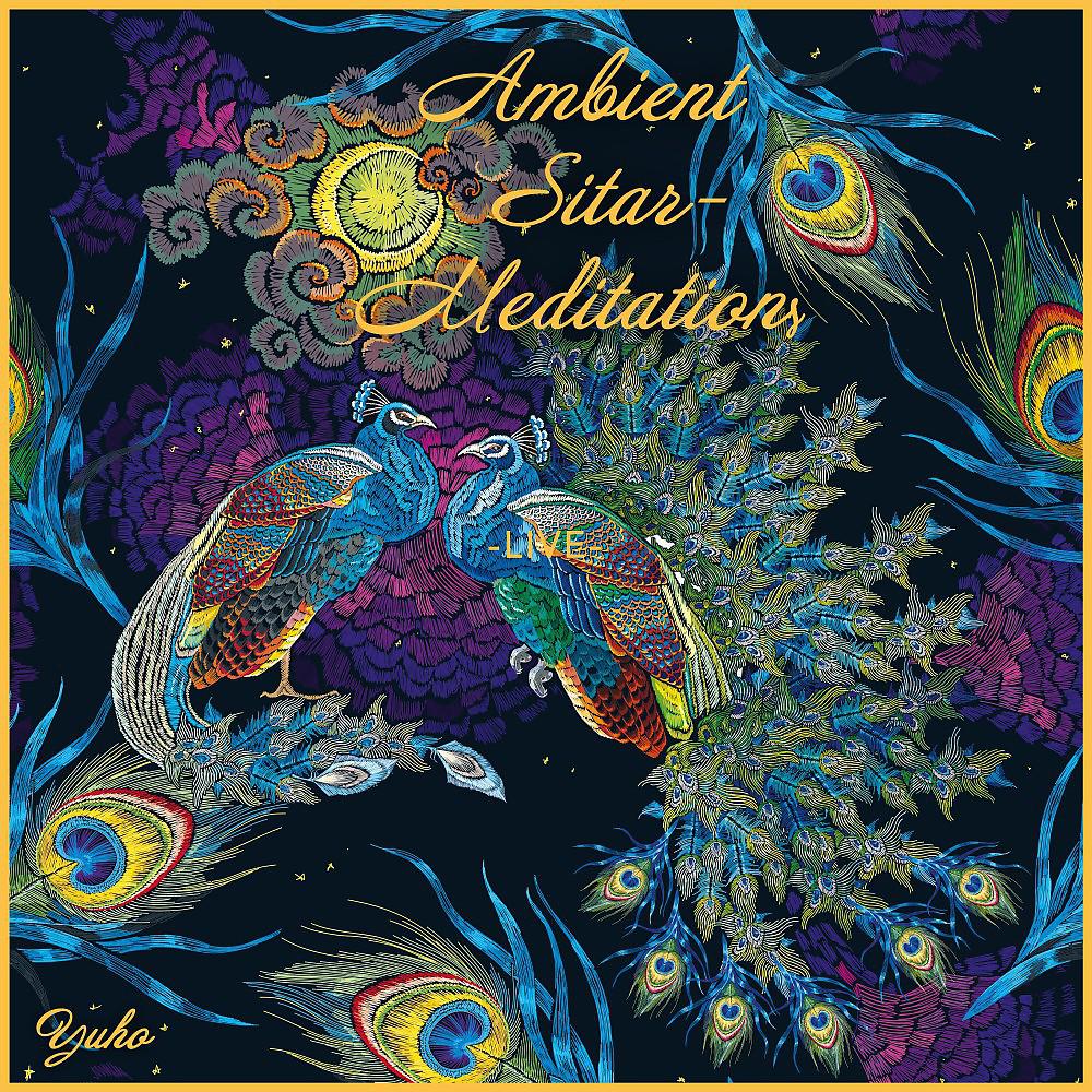 Постер альбома Ambient Sitar- Meditations (Live)