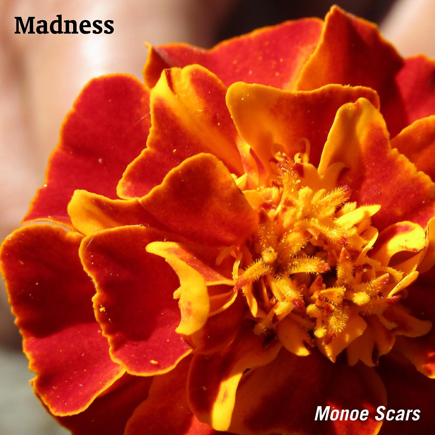 Monoe Scars - Bridge Of Her Way
