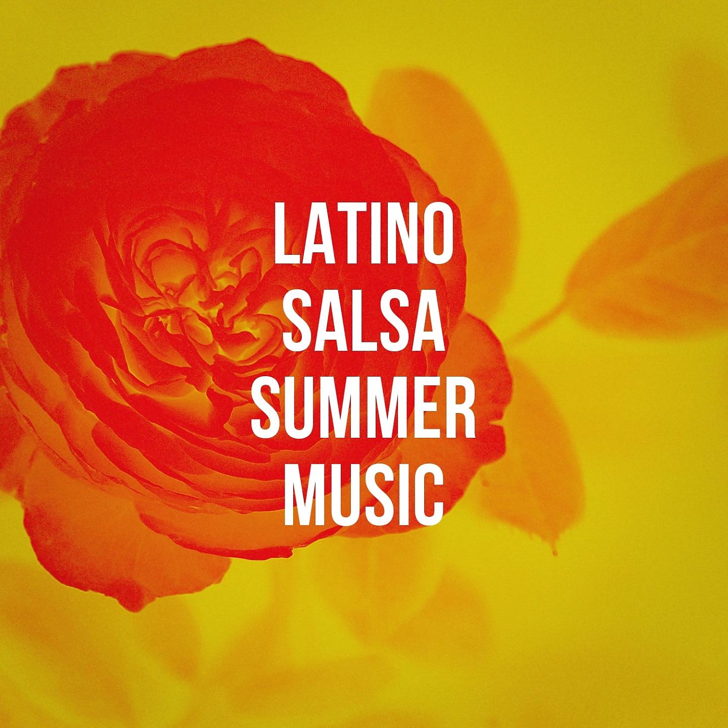 Постер альбома Latino Salsa Summer Music