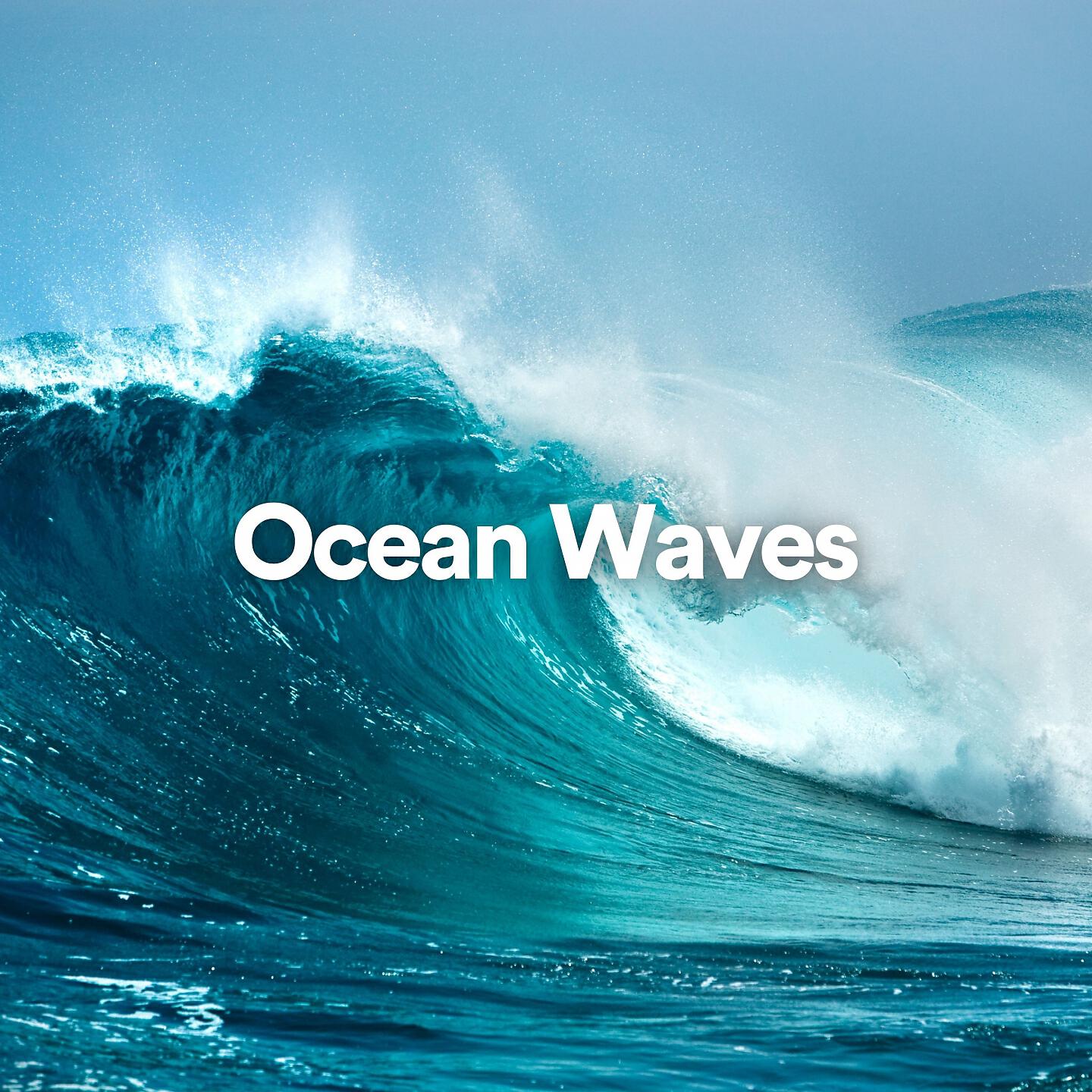 Ocean Live - White Noise Ocean