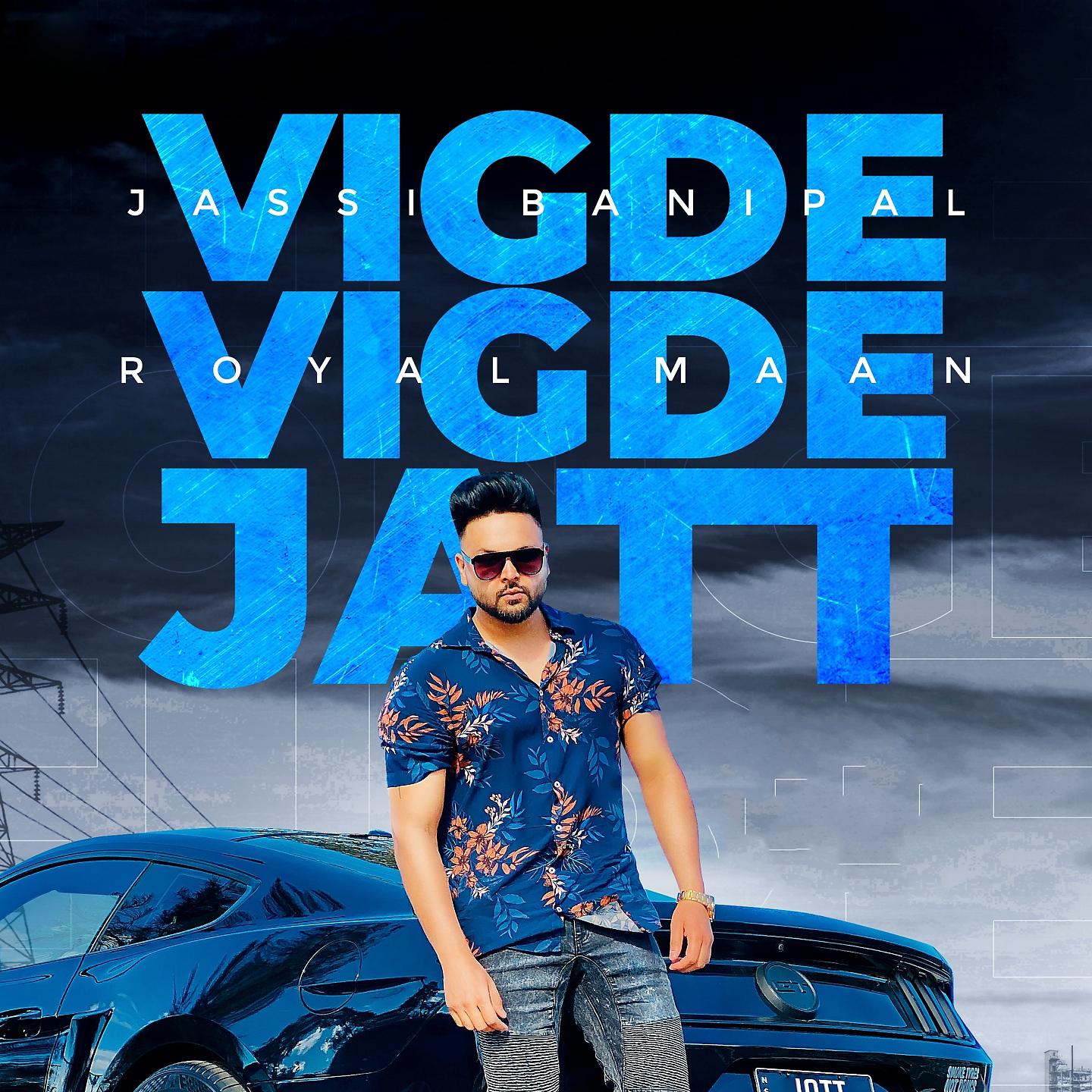 Постер альбома Vigde Vigde Jatt