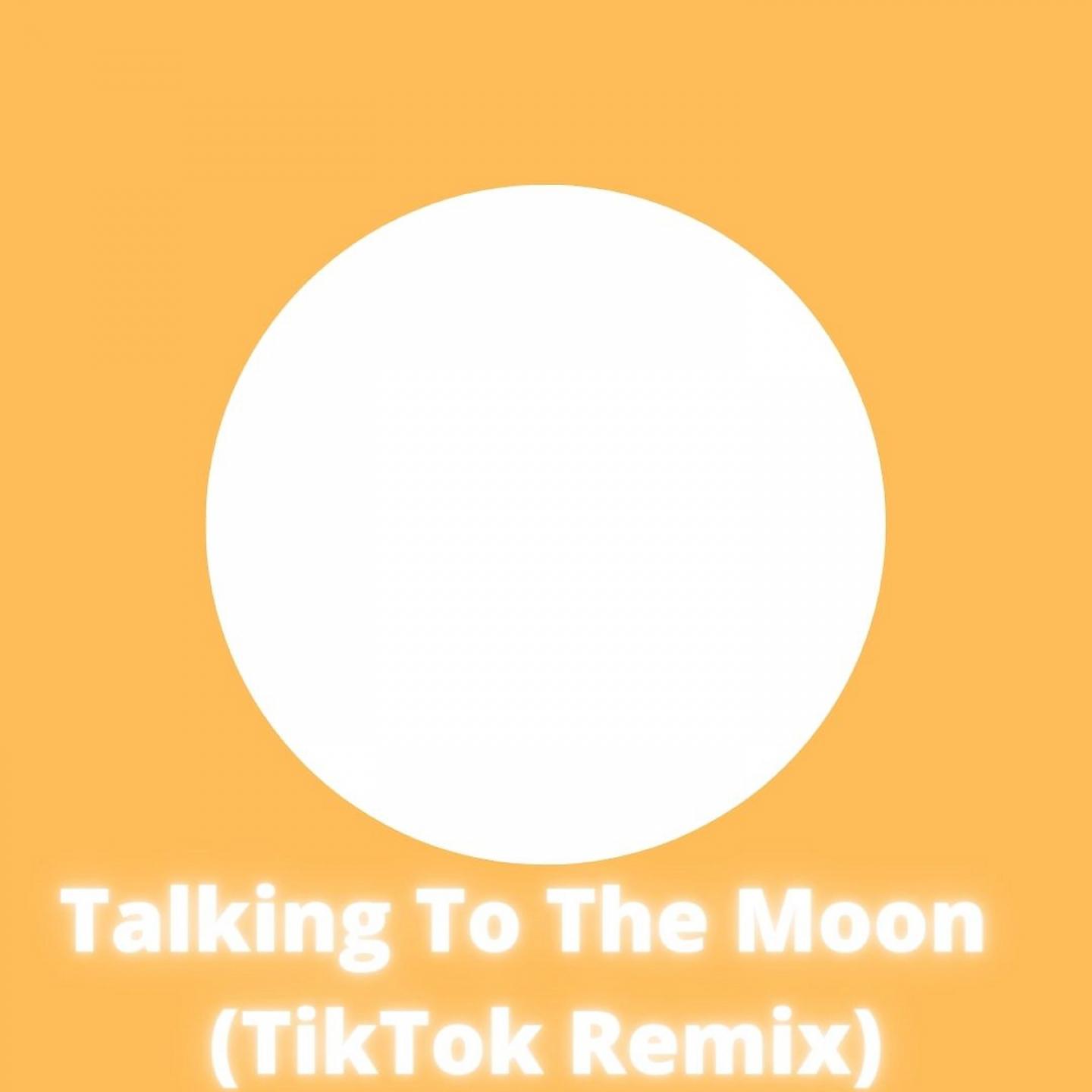 Постер альбома Talking To The Moon (TikTok Remix)