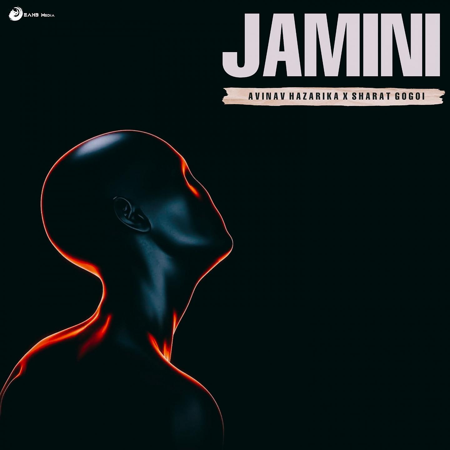 Постер альбома Jamini