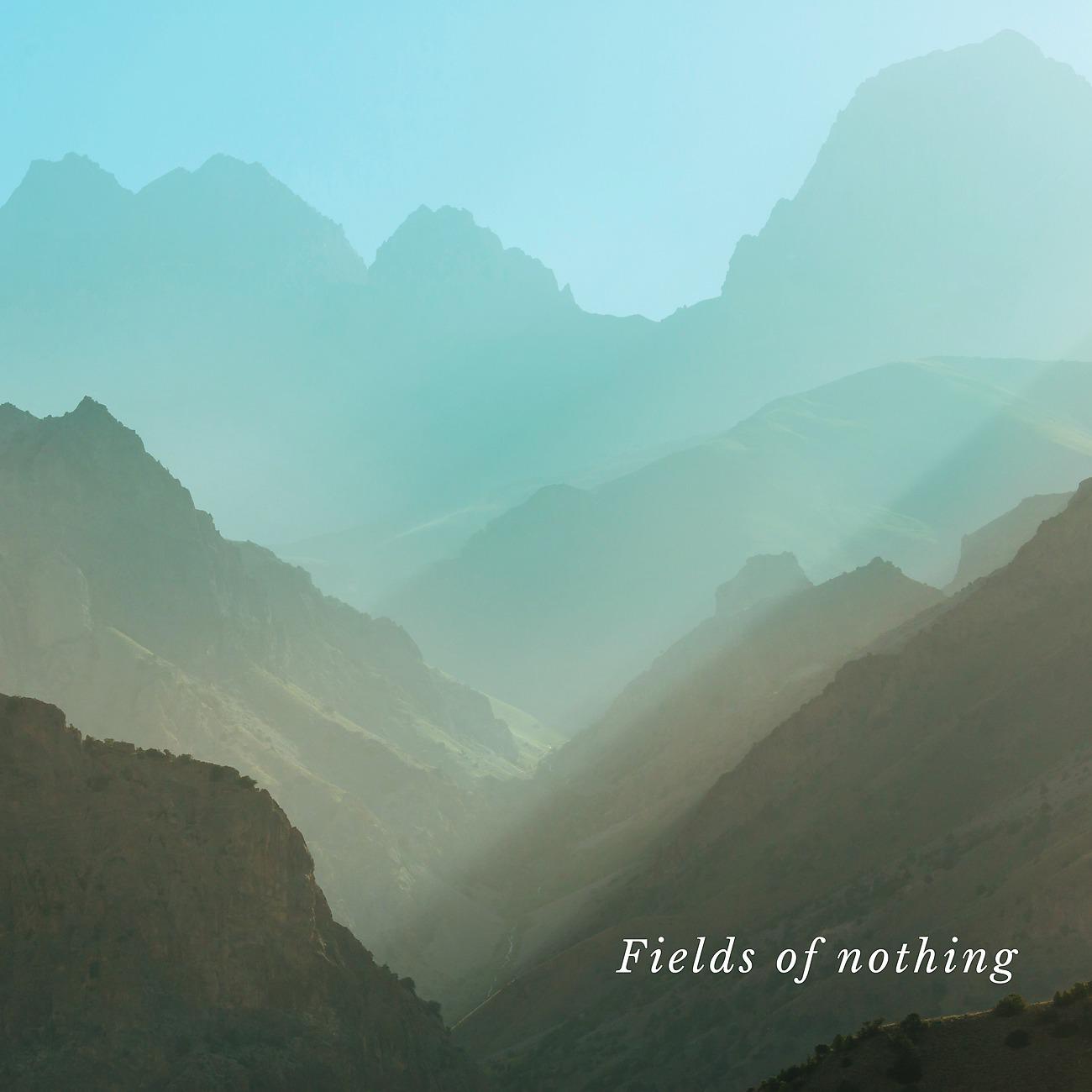 Постер альбома Fields of nothing