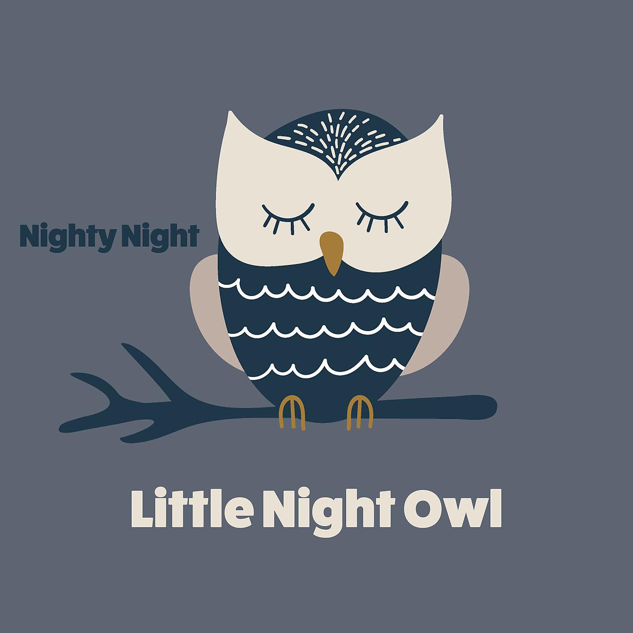Постер альбома Nighty Night