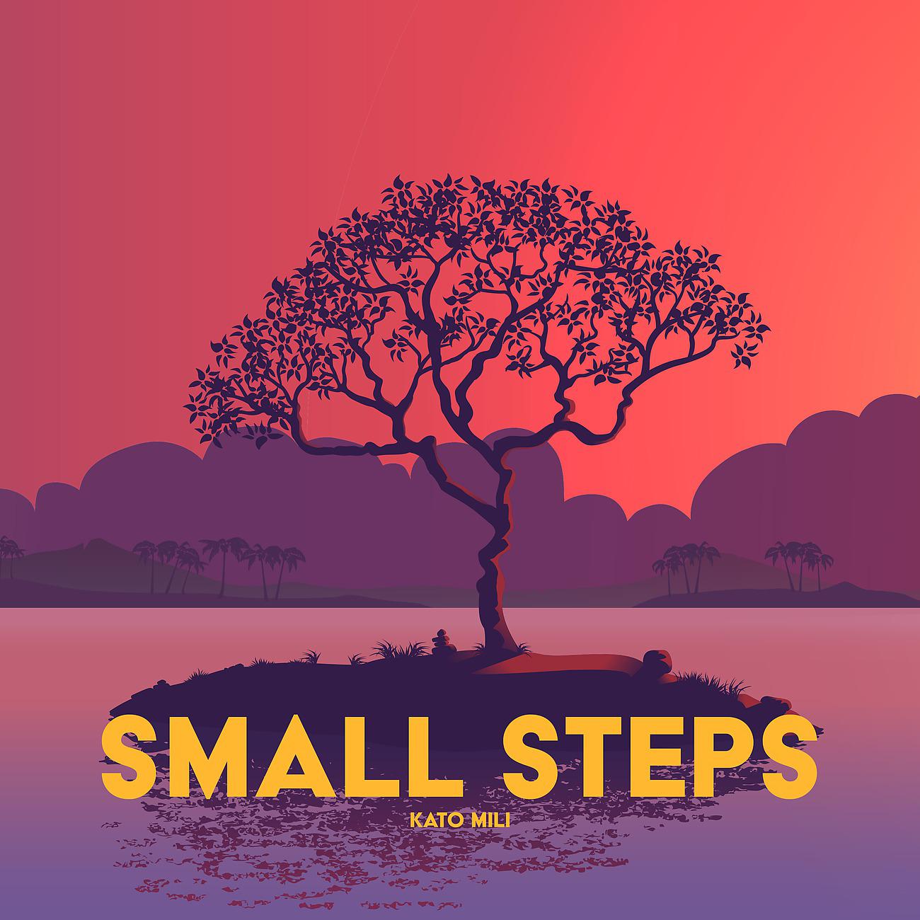 Постер альбома Small Steps