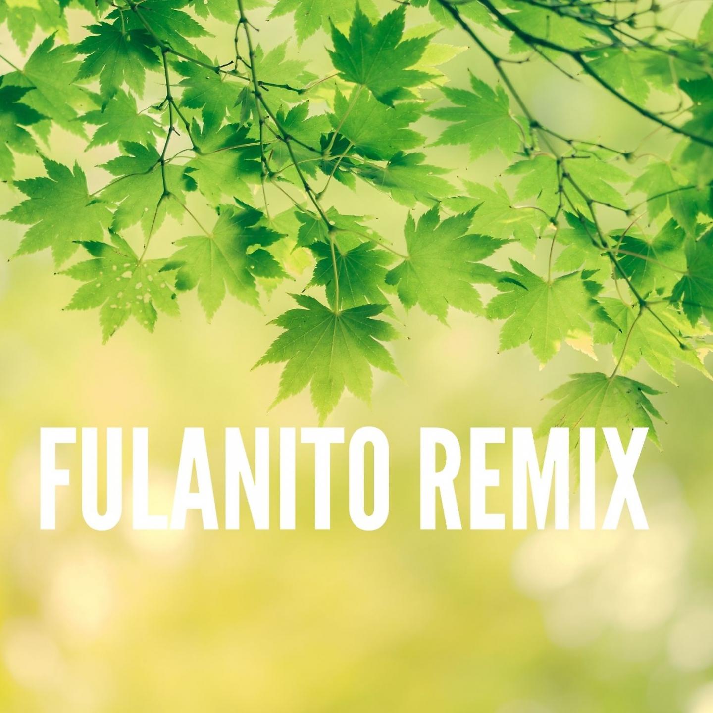 Постер альбома Fulanito Remix