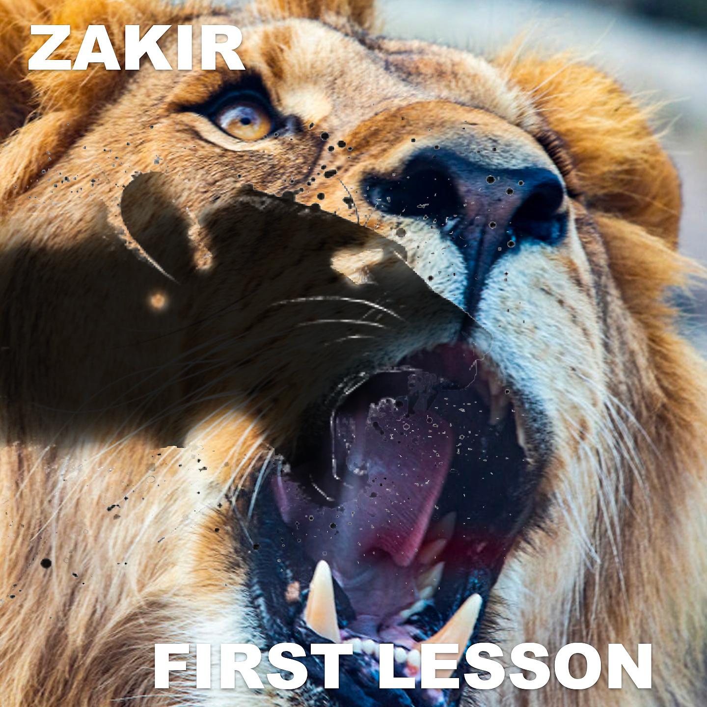 Постер альбома First Lesson