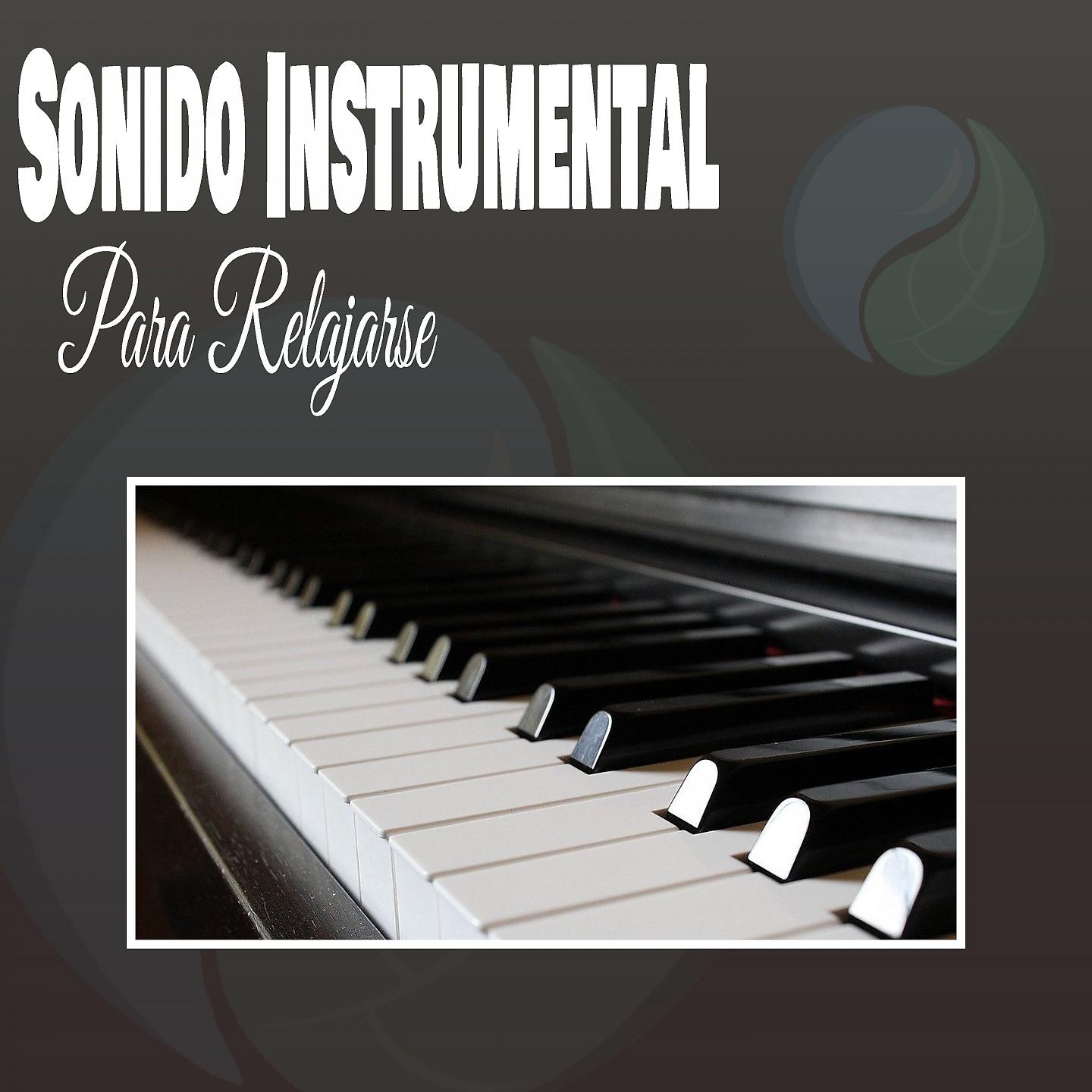 Постер альбома Sonido Instrumental para Relajarse