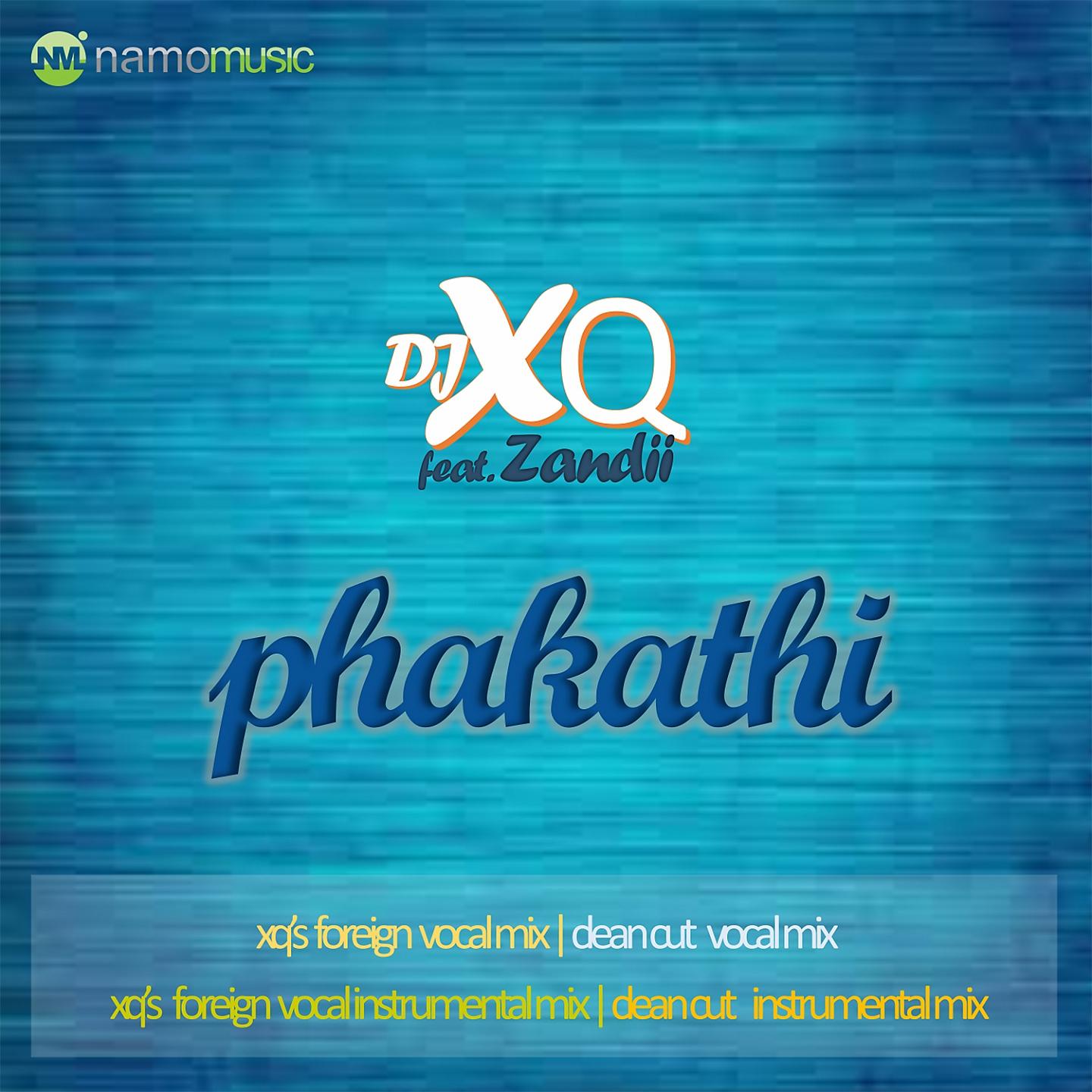 Постер альбома Phakathi