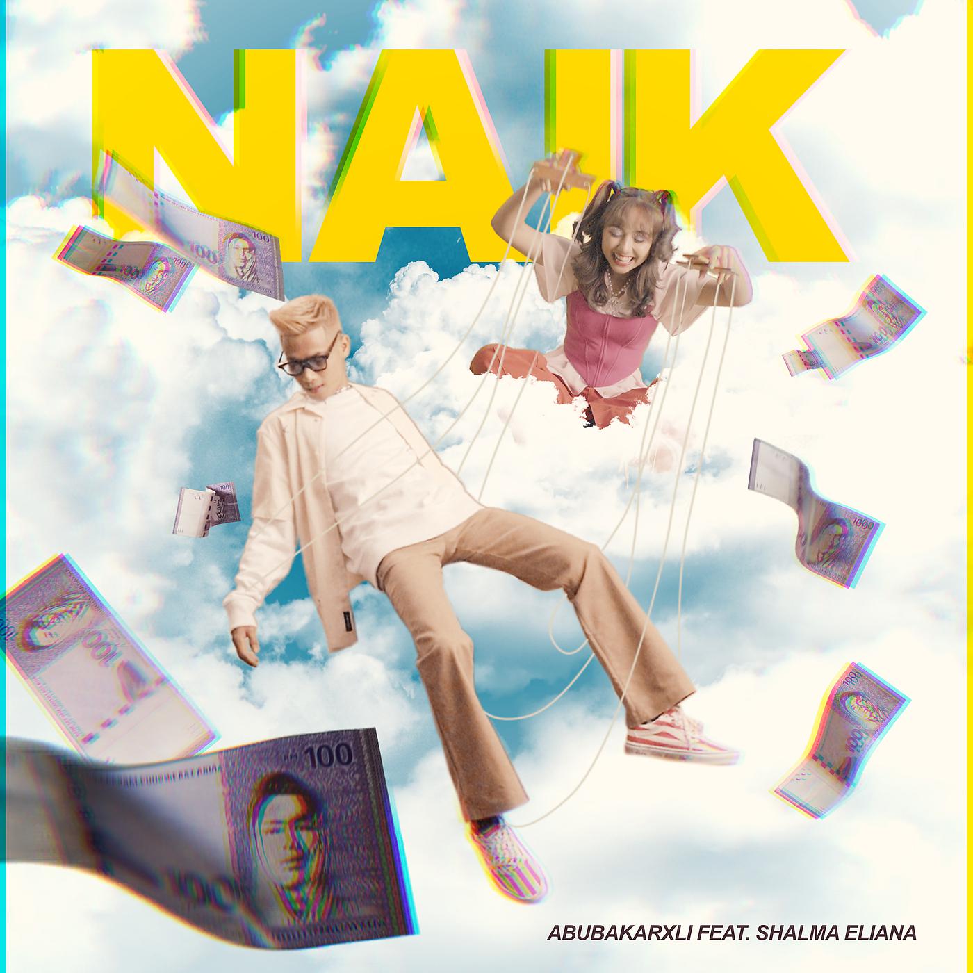 Постер альбома NAIK