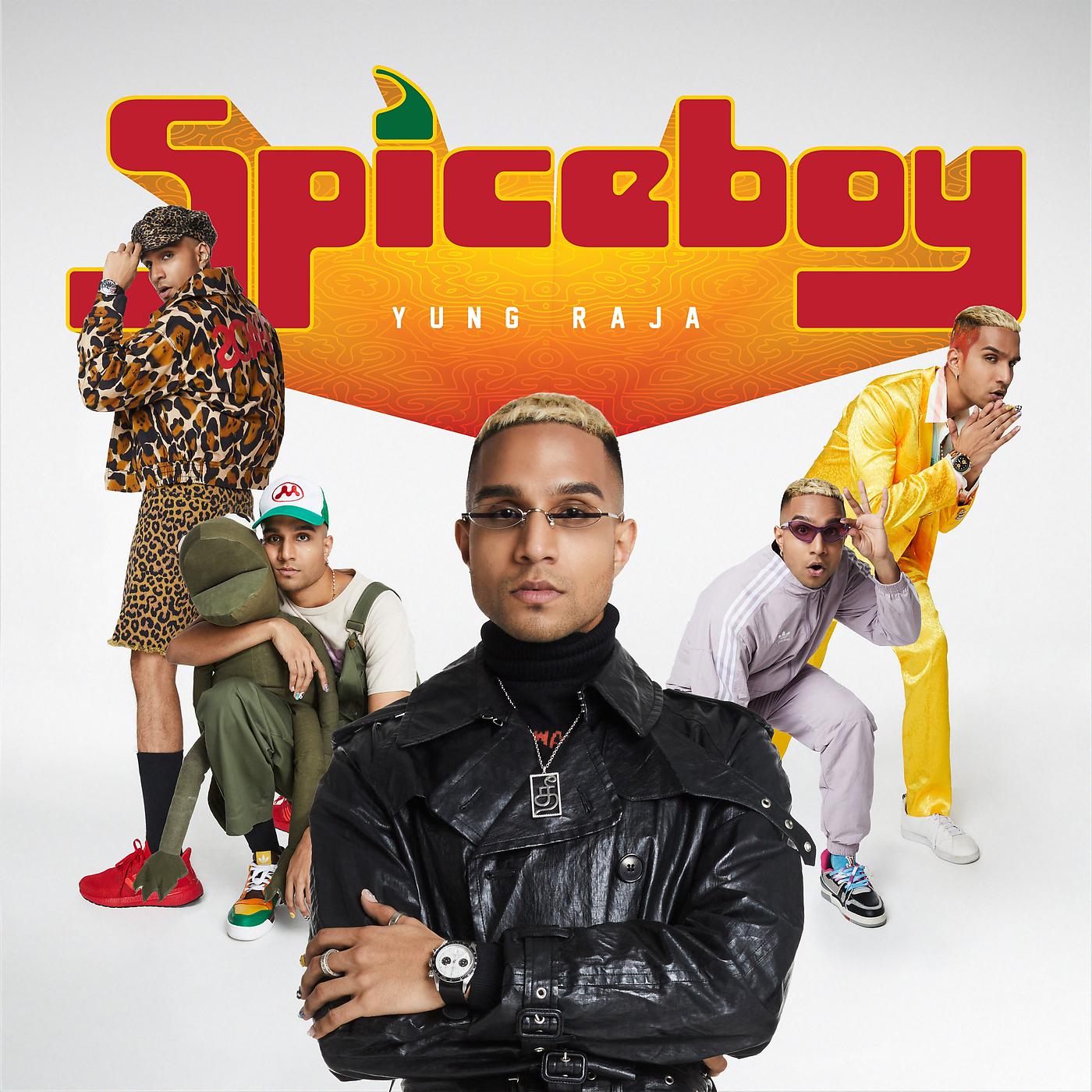 Постер альбома Spice Boy