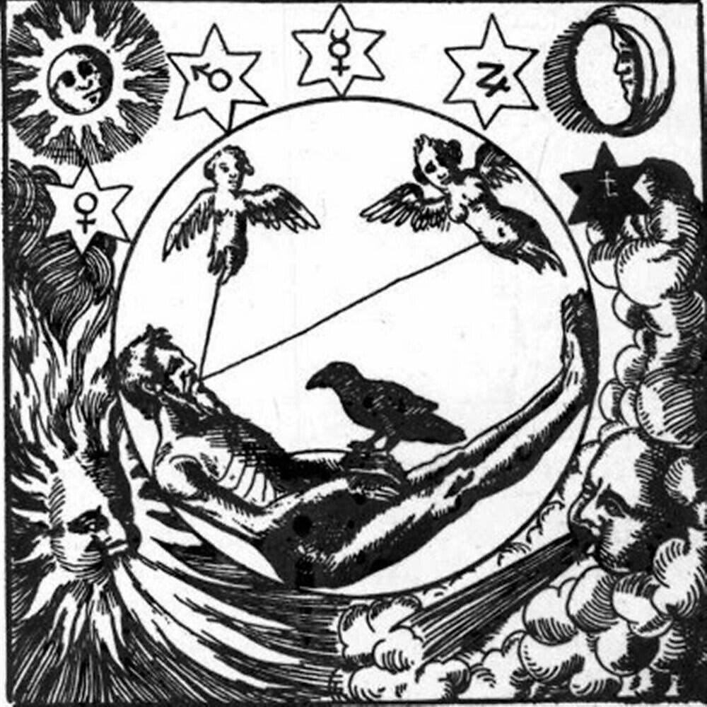 Noah23 - Snow Bird
