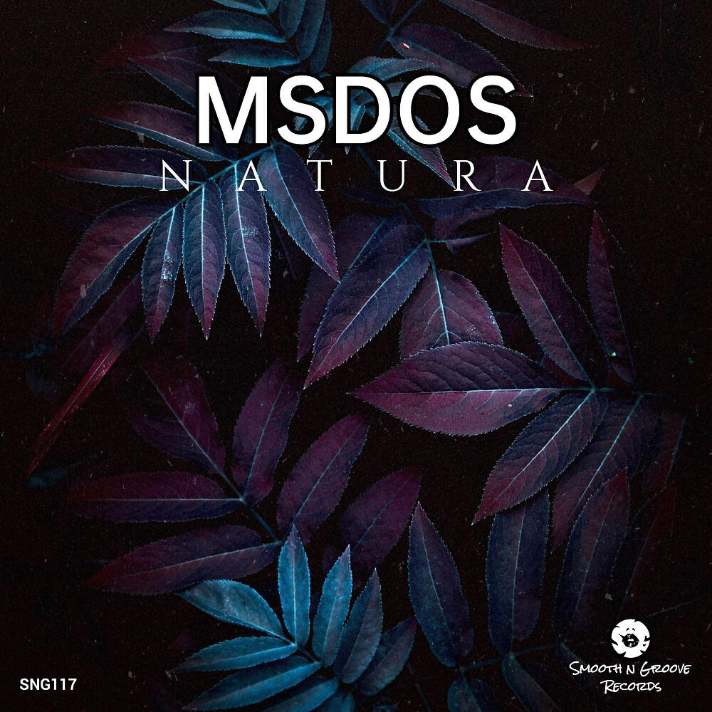 MsDoS - New Places