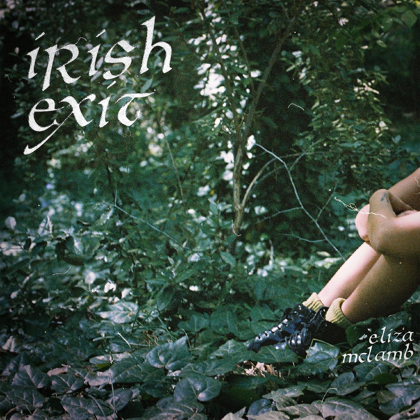 Постер альбома Irish Exit