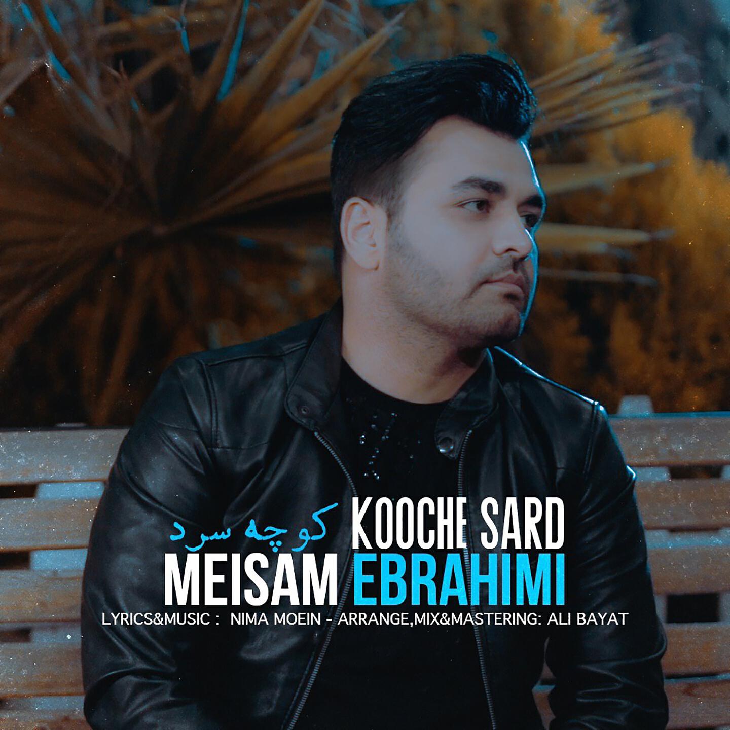 Meisam Ebrahimi - Kooche Sard
