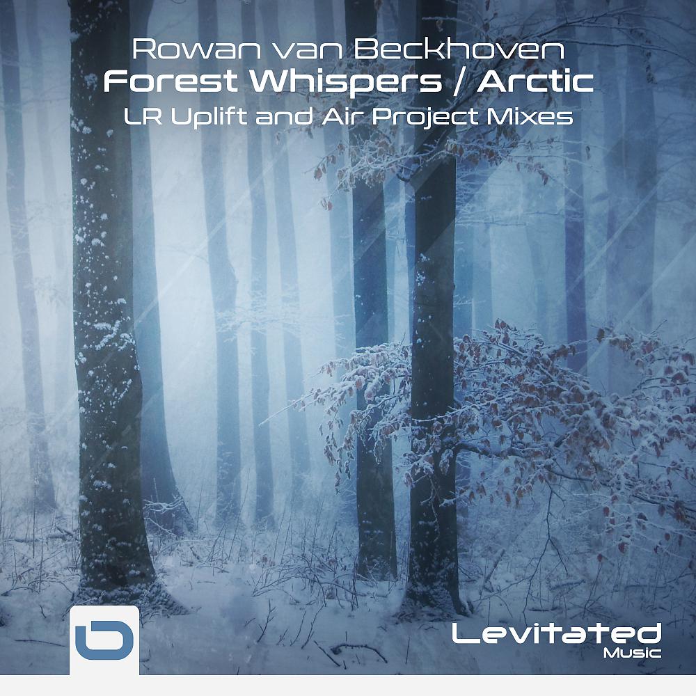 Постер альбома Forest Whispers / Arctic (Remixes)