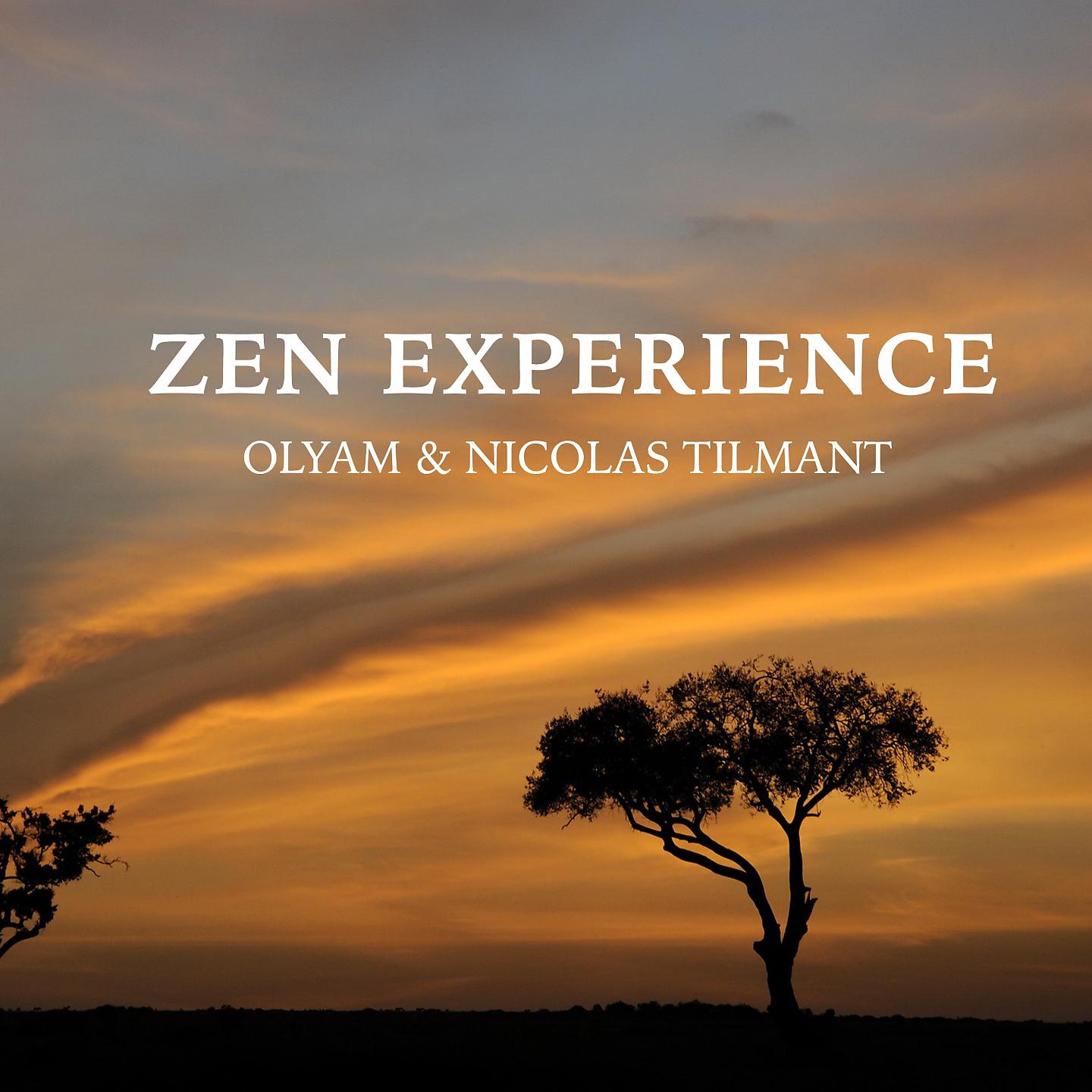 Постер альбома Zen experience