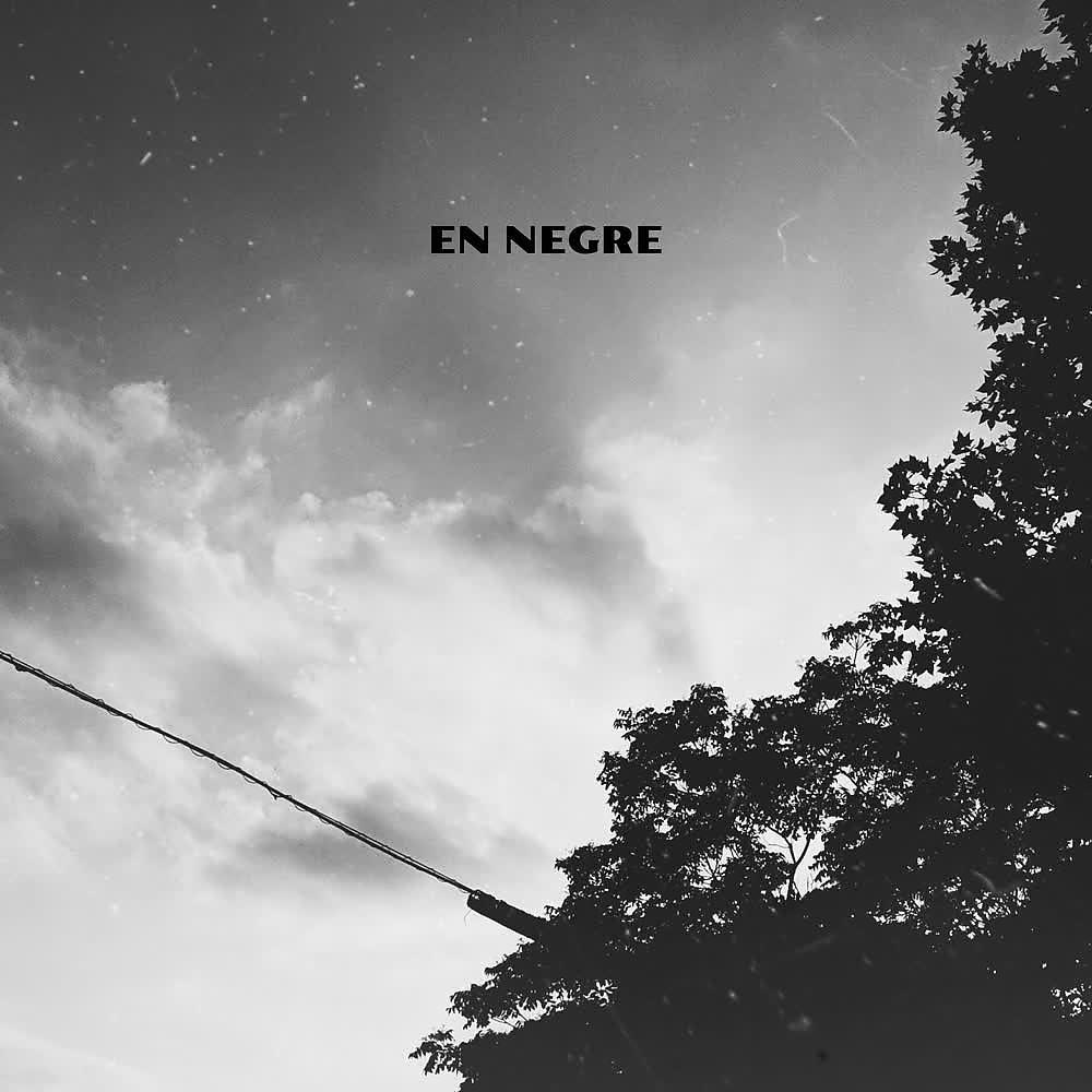 Постер альбома En Negre