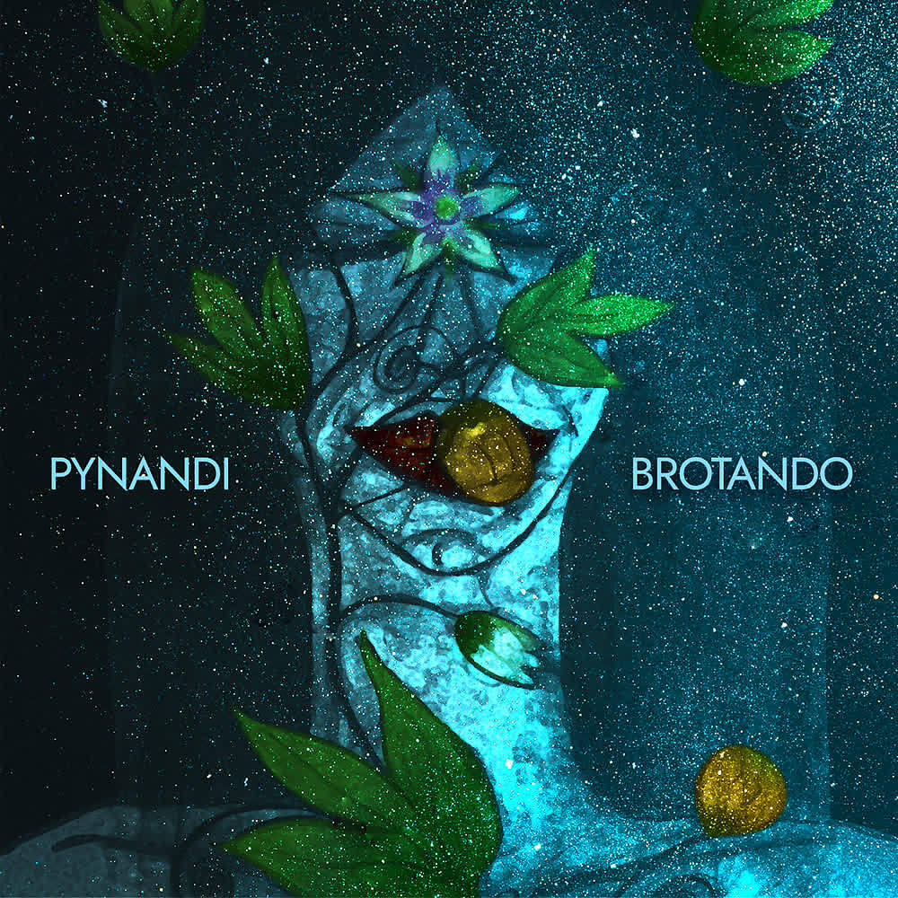 Pynandi - Elijo