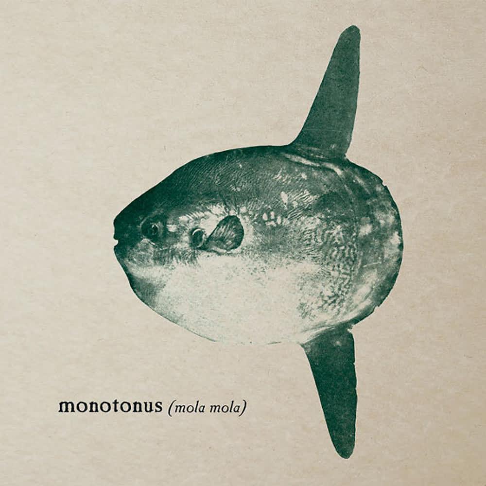 Постер альбома Mola Mola