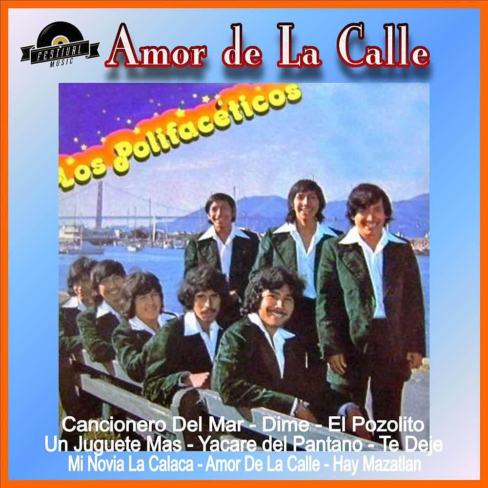 Постер альбома Amor de la Calle