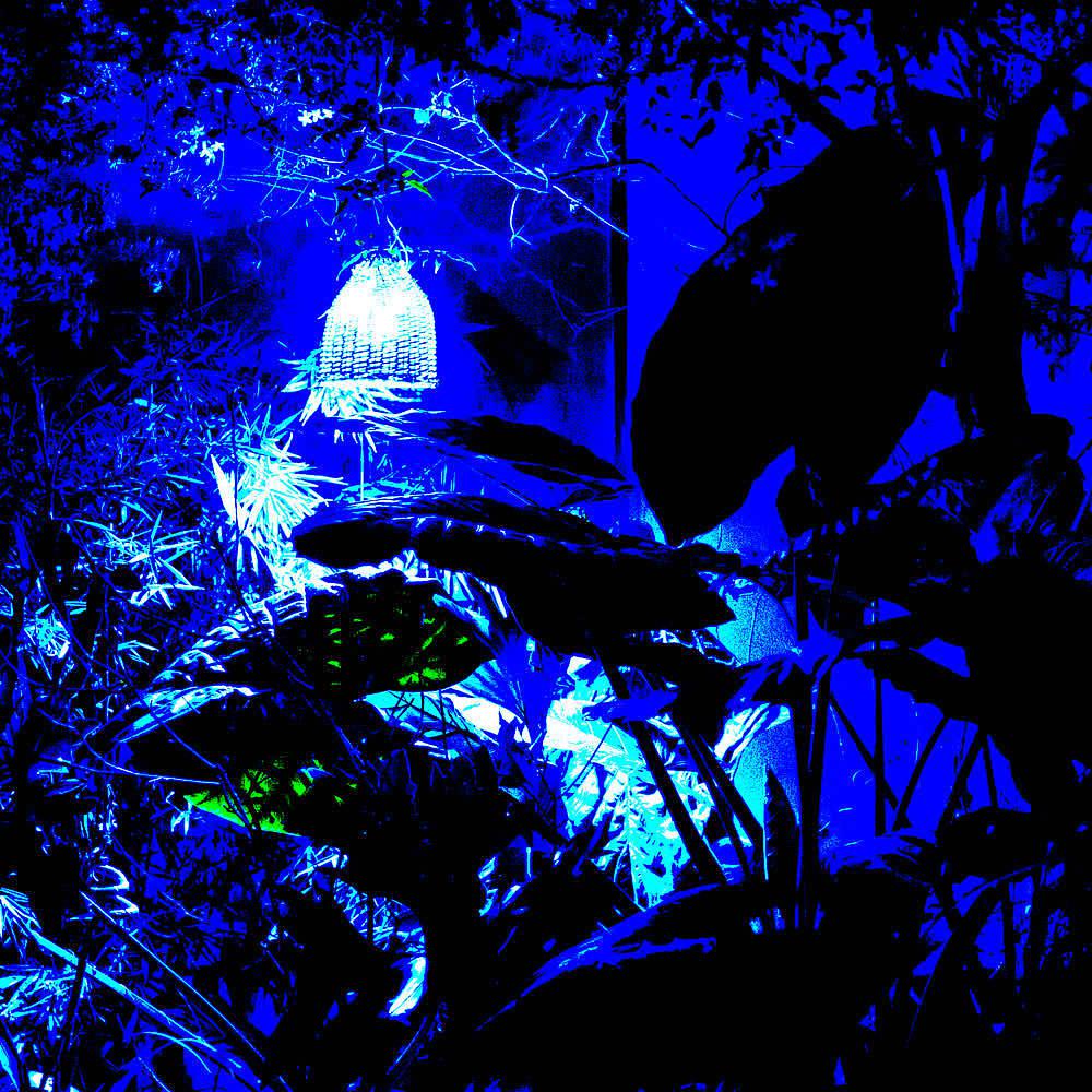Постер альбома Jardín Azul