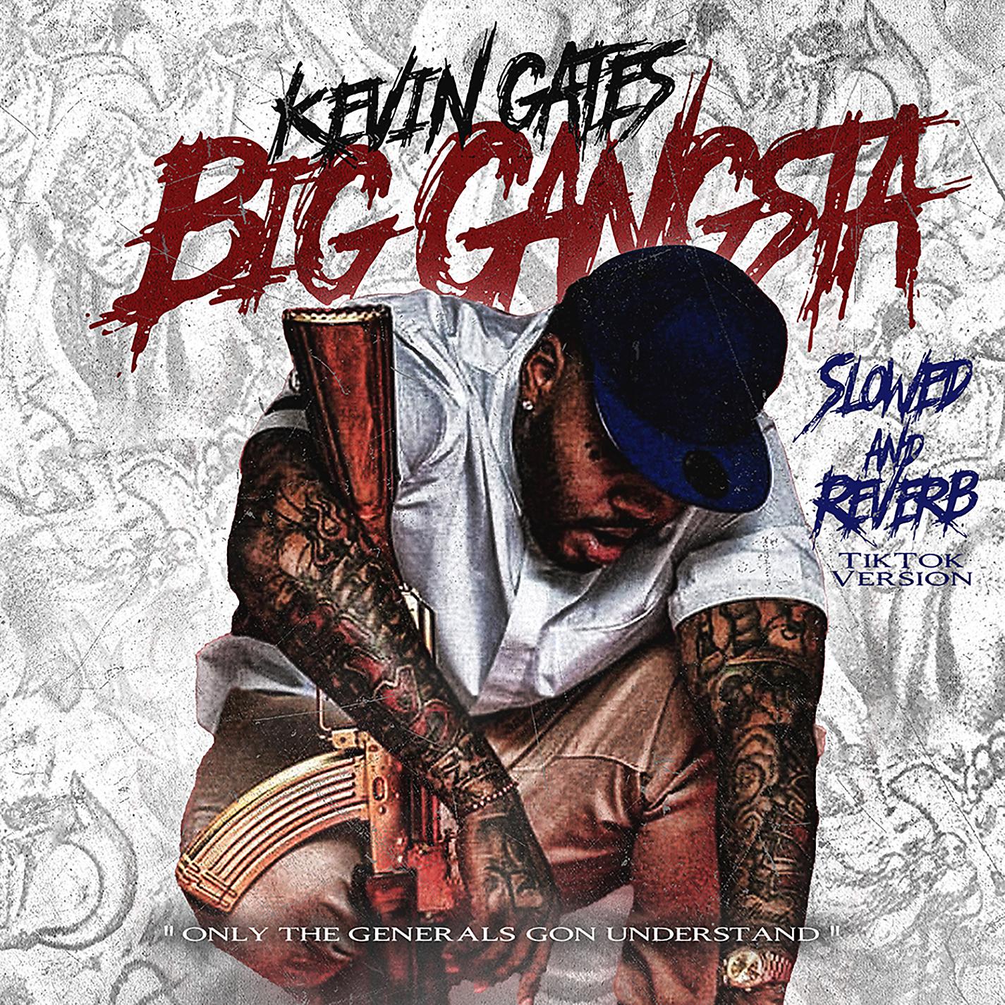 Постер альбома Big Gangsta (Slowed and Reverb TikTok Version)