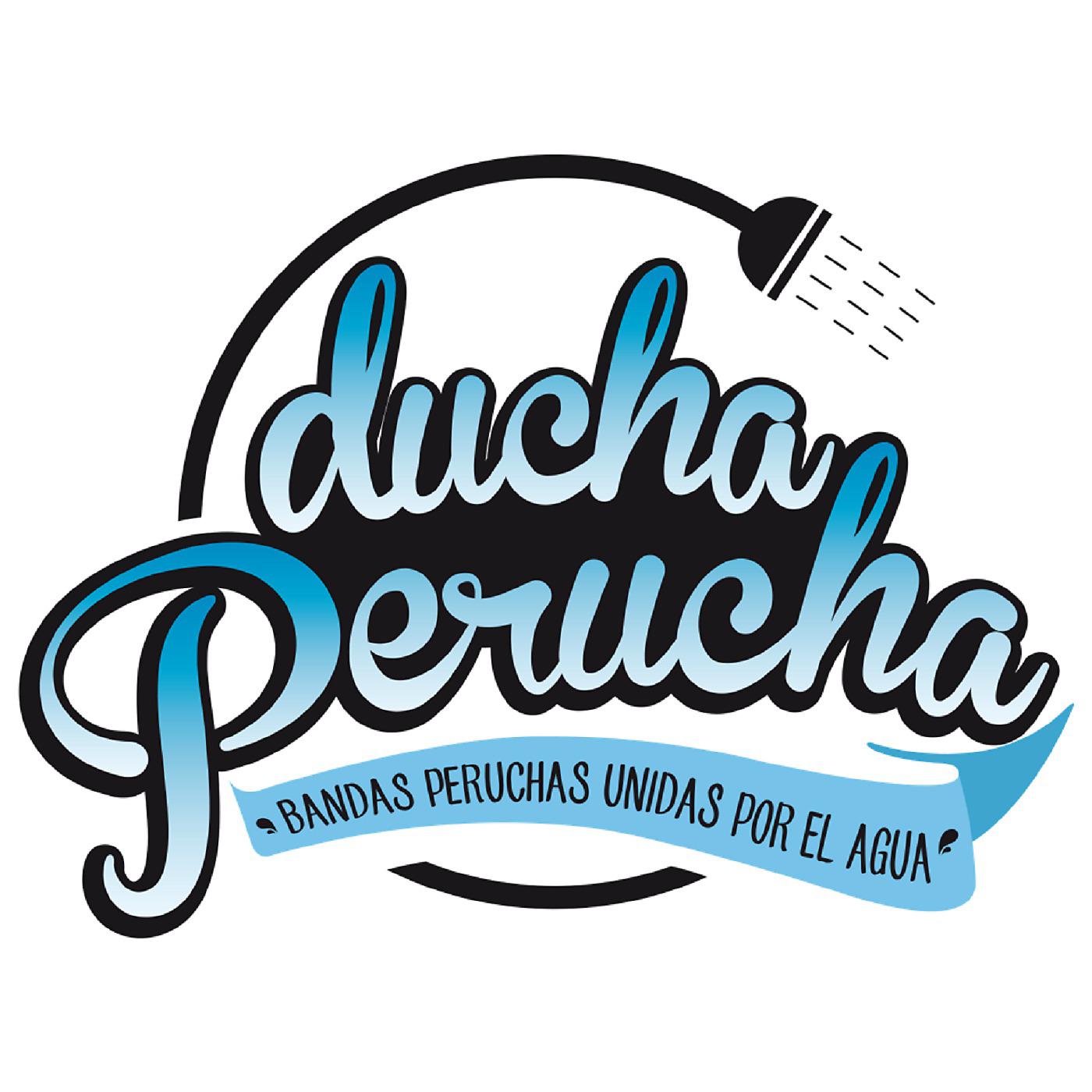Постер альбома SABOR y CONTROL Mix Ducha Perucha