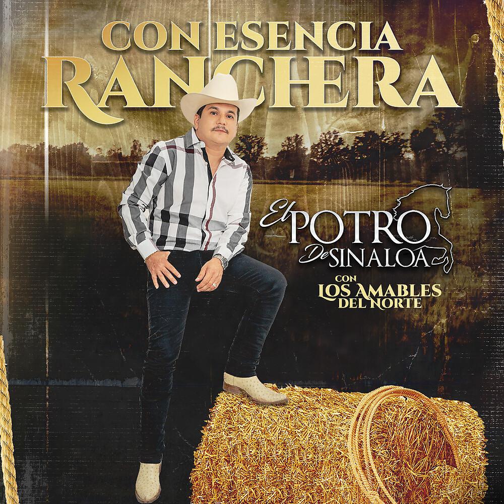 Постер альбома Con Esencia Ranchera
