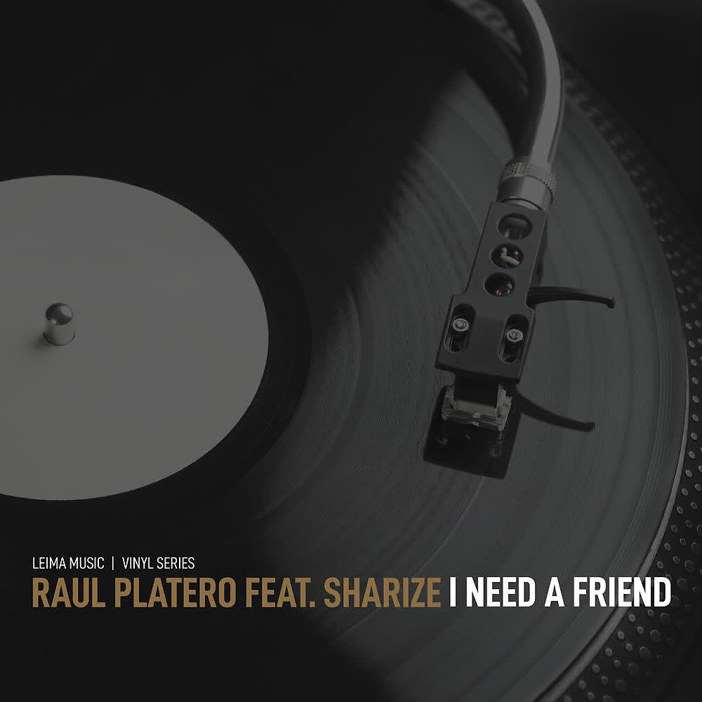 Raul Platero, Sharize - I Need a Friend (Progressive Mix) ноты