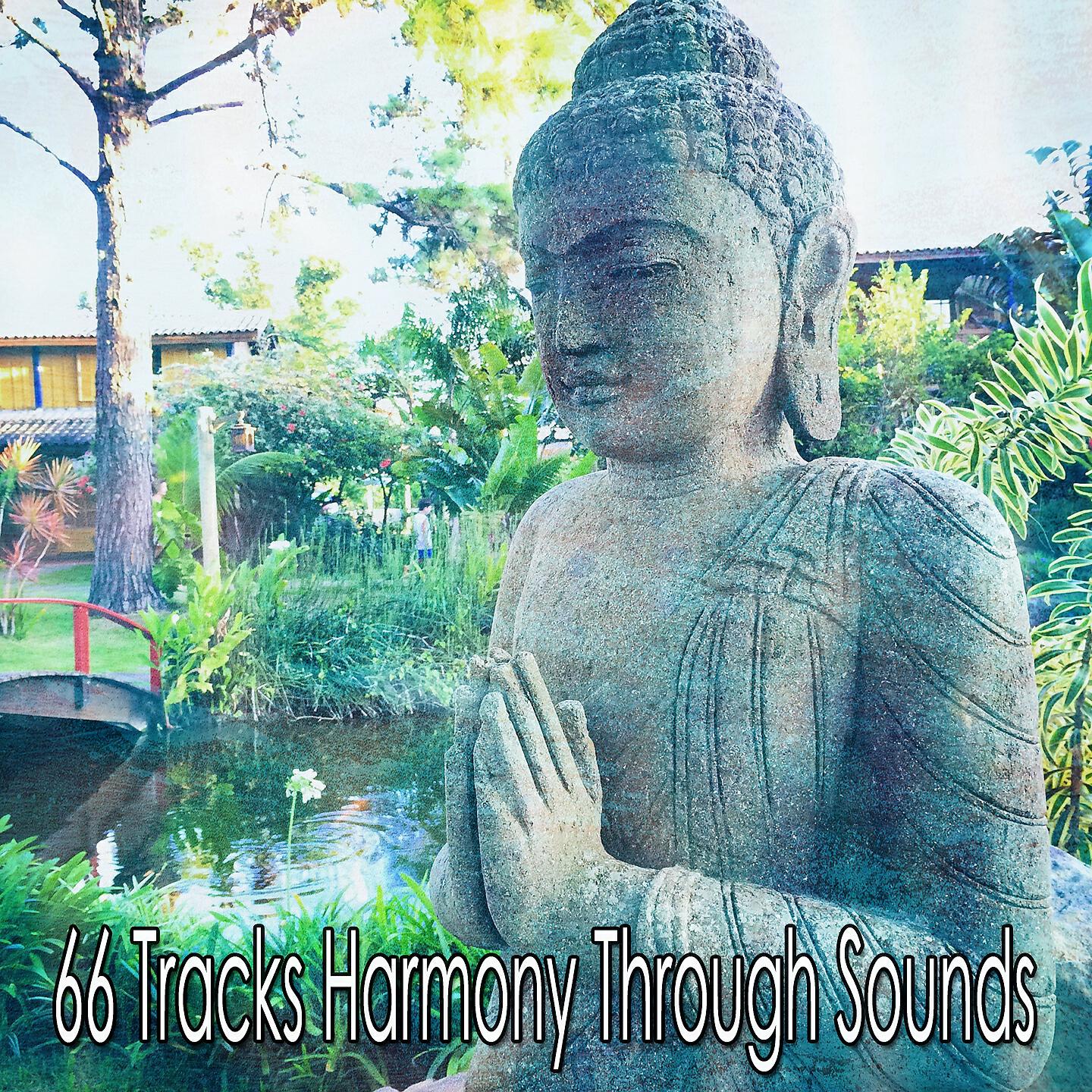 Asian Zen Spa Music Meditation - The Flame Inside