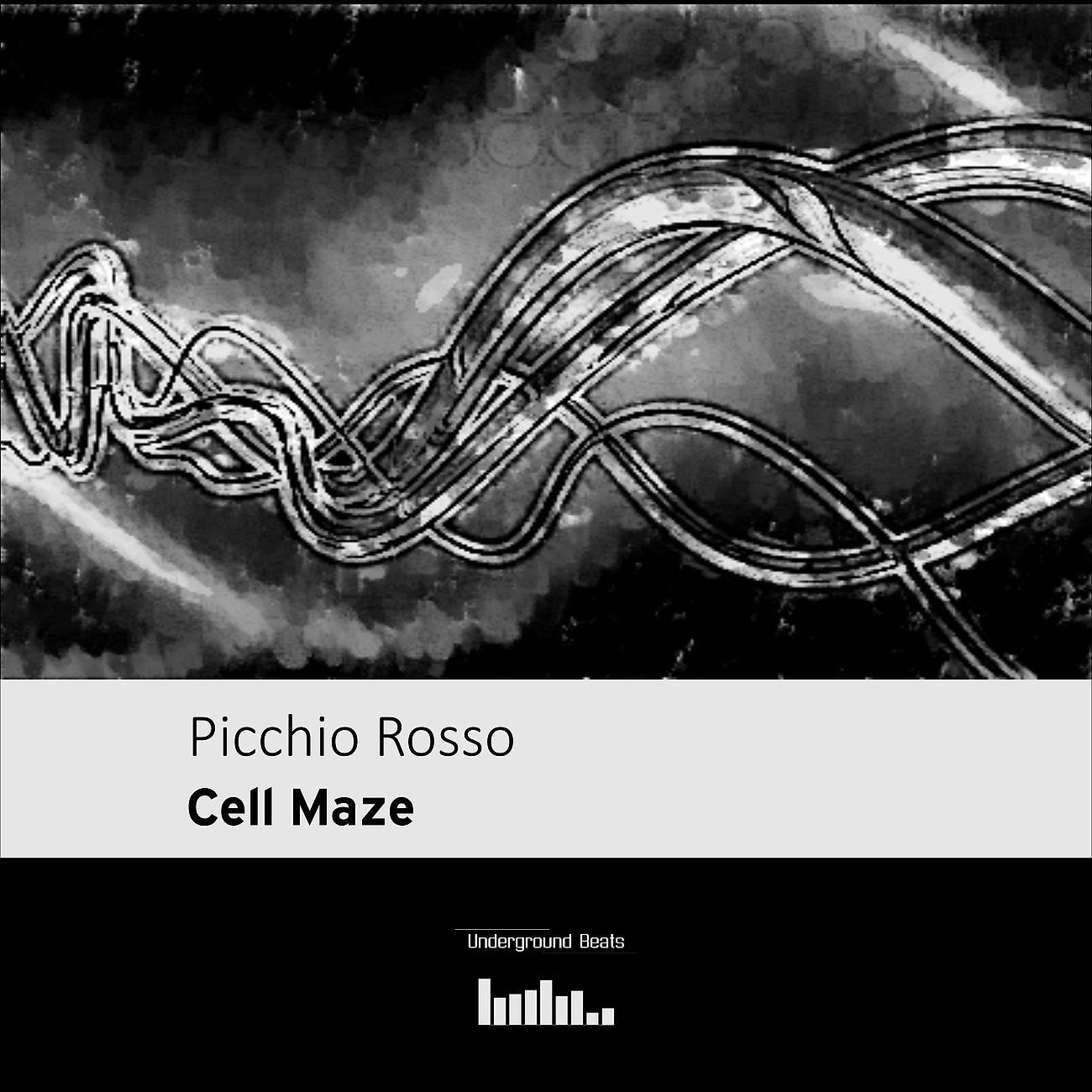 Постер альбома Cell Maze