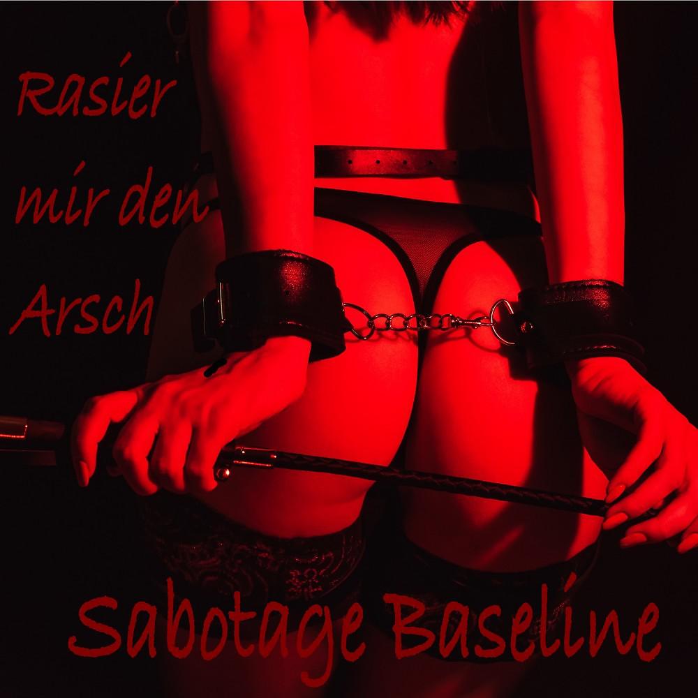 Постер альбома Rasier mir den Arsch