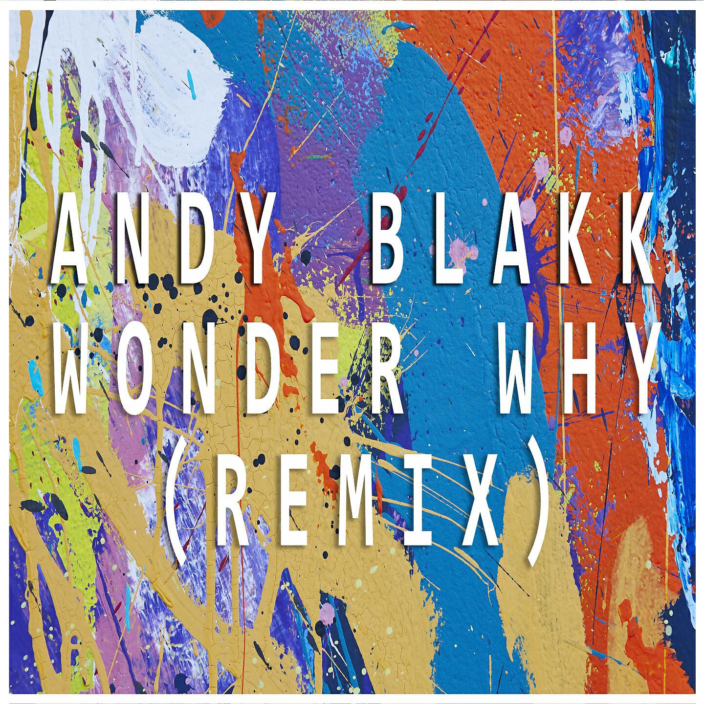 Andy Blakk - Wonder Why (House Remix)